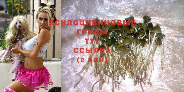 гашик Кинешма