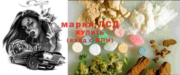 тгк Магас