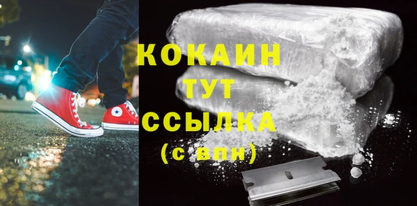 тгк Магас